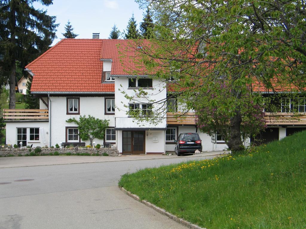 Pension Tannenheim Schluchsee Eksteriør billede