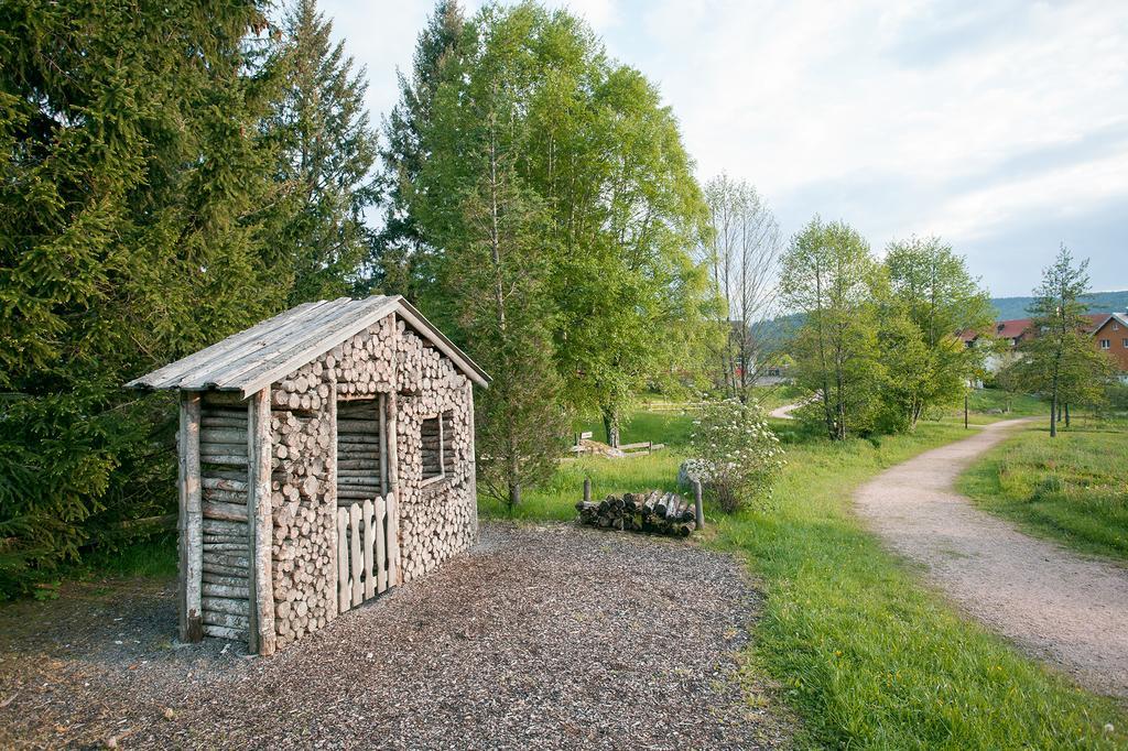 Pension Tannenheim Schluchsee Eksteriør billede