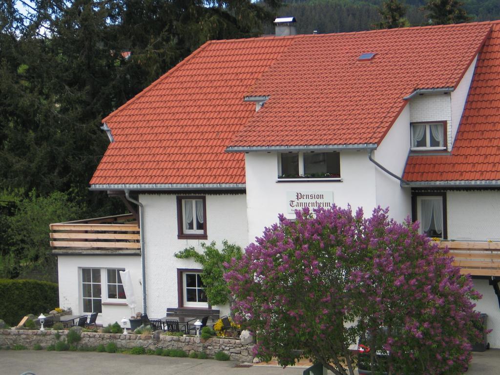 Pension Tannenheim Schluchsee Eksteriør billede