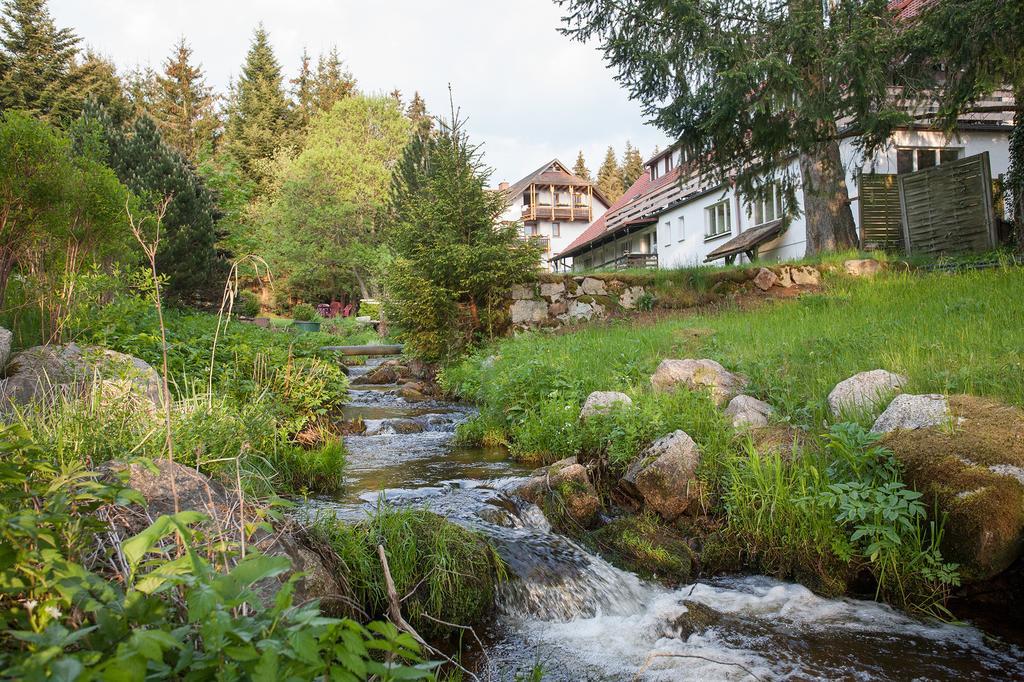 Pension Tannenheim Schluchsee Eksteriør billede